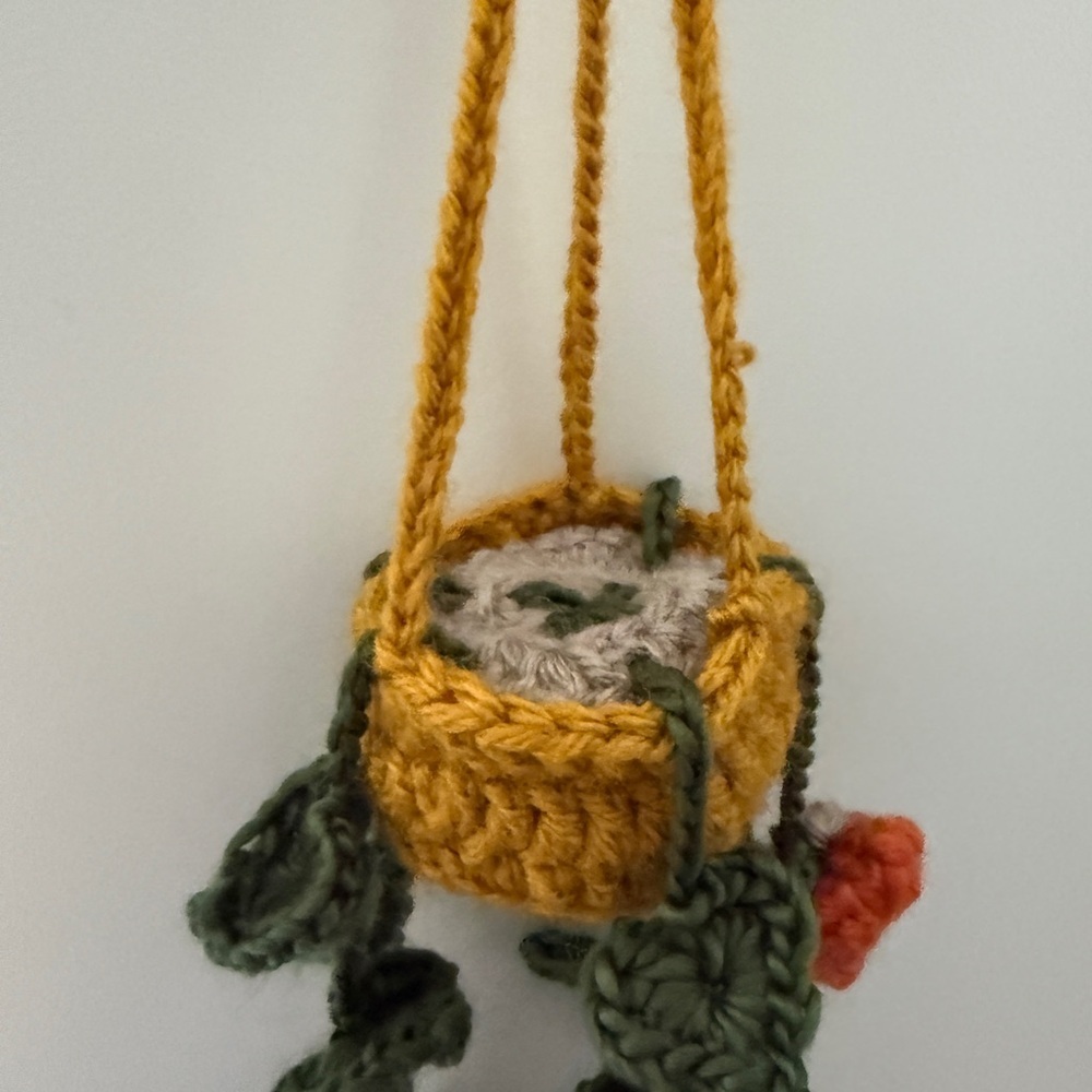 Crochet Plant Hanger with pumpkins 🎃 - Picture 5 of 6